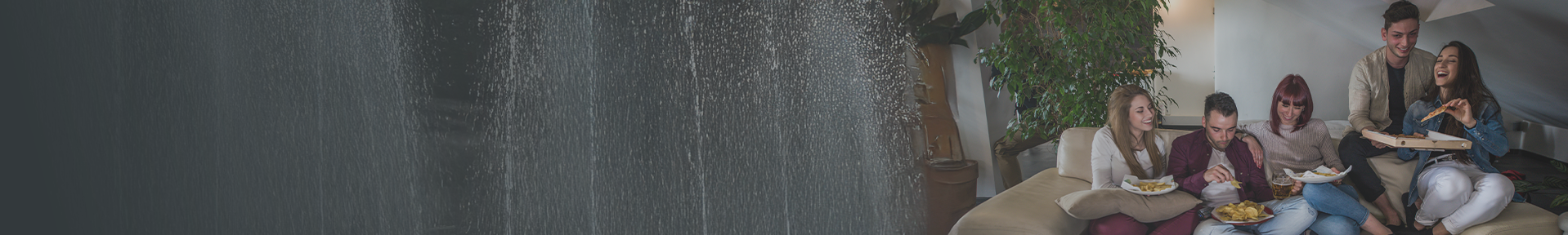 collection-banner