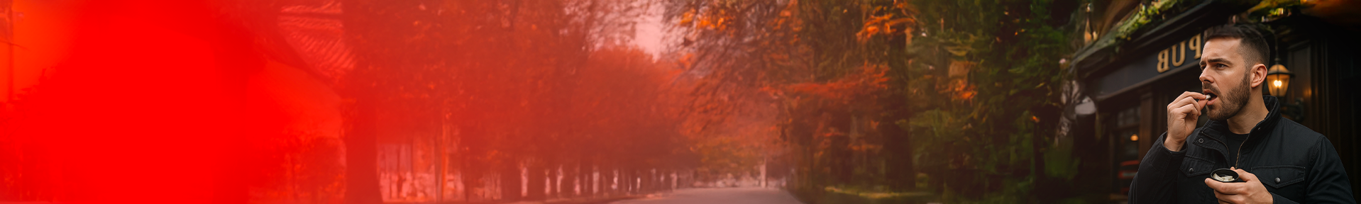 collection-banner