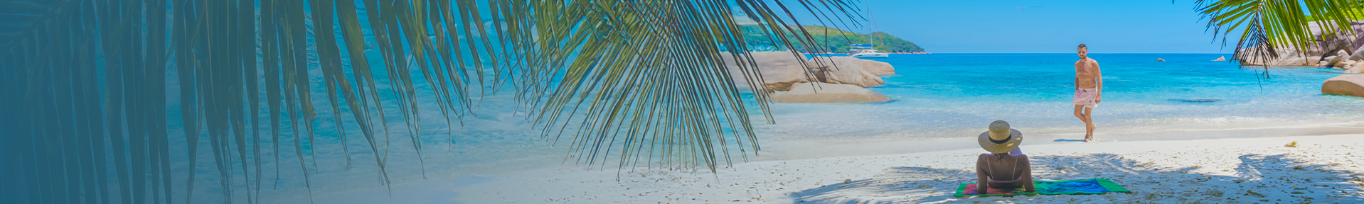 collection-banner